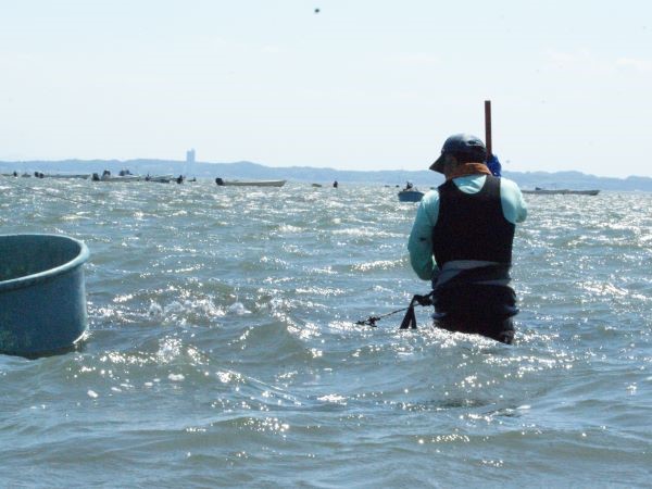 あさり漁