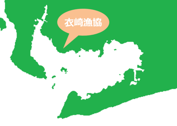 衣崎漁業協同組合 ＭＡＰ